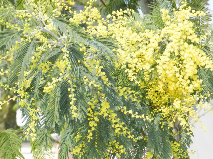 Photo de profil de mydulau