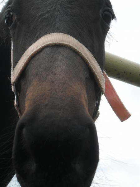 Photo de profil de sambre