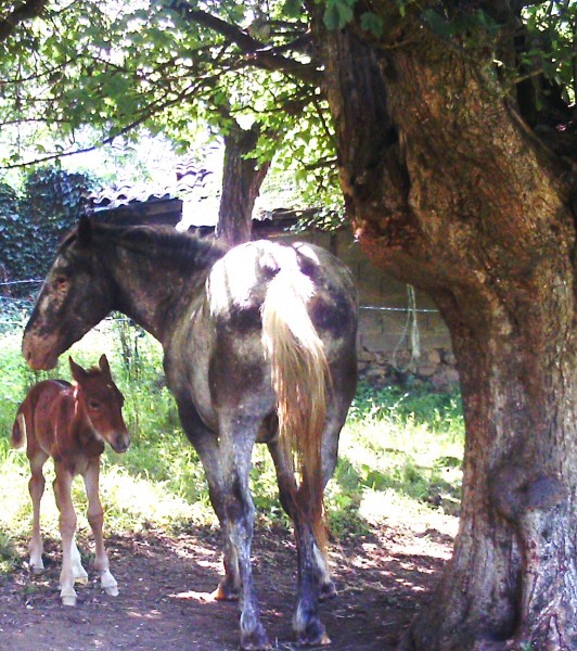 Photo de profil de lalita