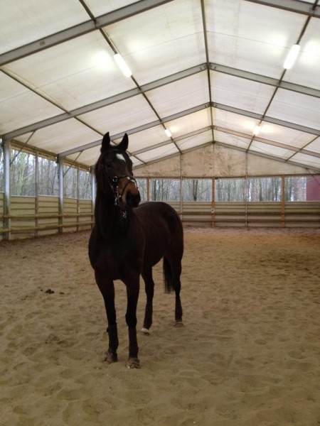 Photo de profil de virginierose