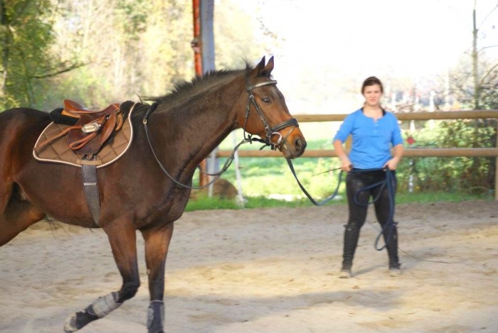 Photo de profil de cooline