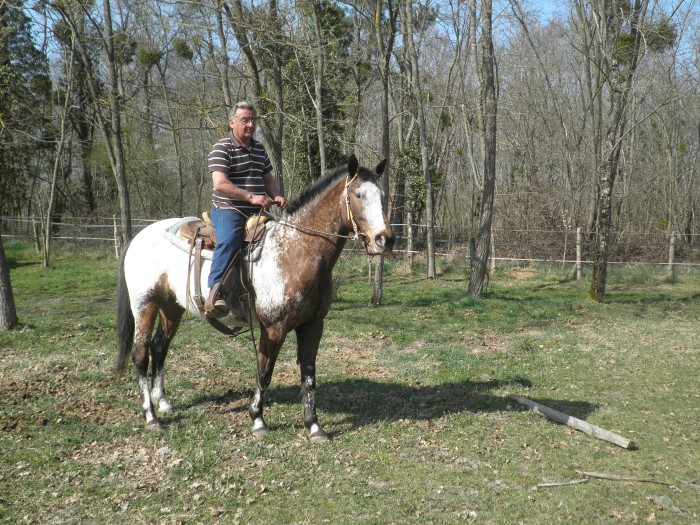 Photo de profil de apache2005