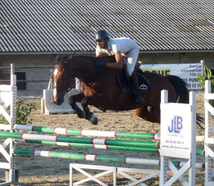 Photo de profil de confiecheval