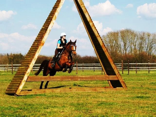 Photo de profil de madinedine