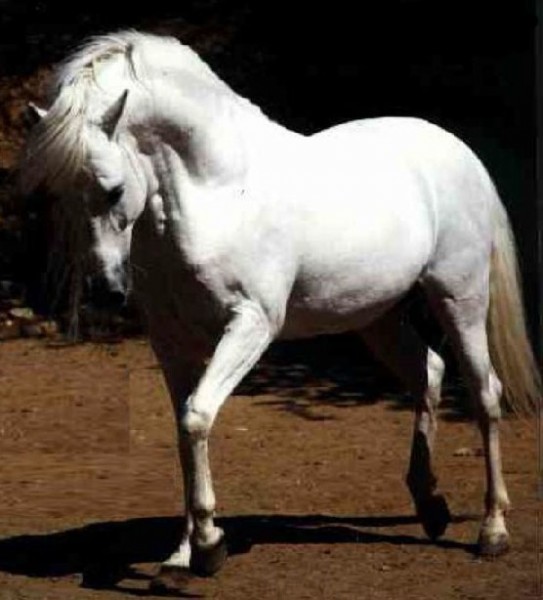 Photo de profil de kenza66