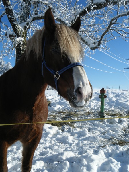 Photo de profil de winnieettigrou