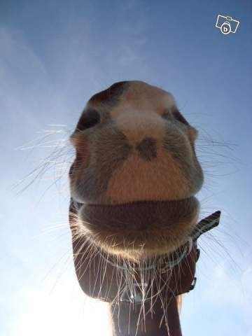 Photo de profil de mariongalop