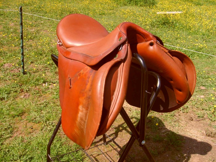 Photo de profil de lamoussure