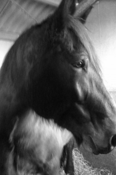 Photo de profil de barbara79220