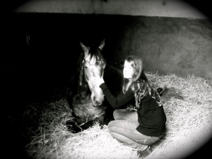 Photo de profil de love-horse