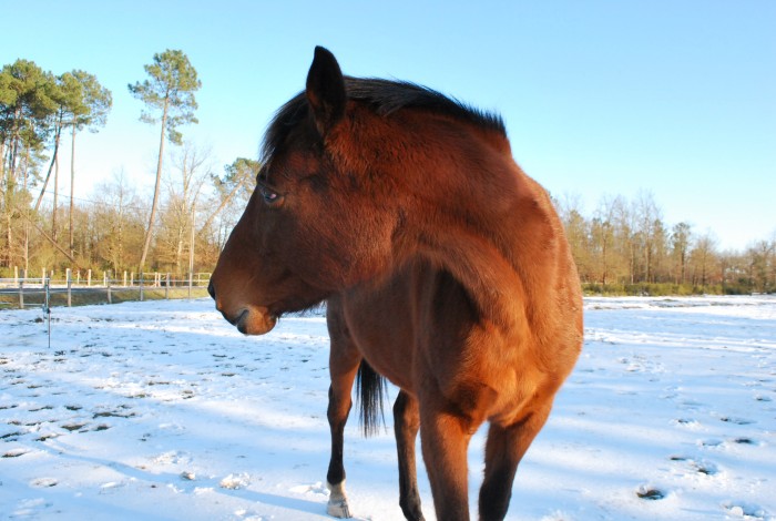 Photo de profil de bbchimay