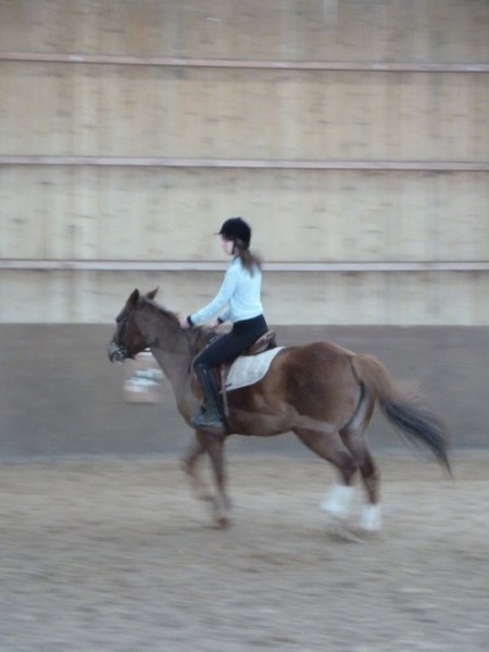 Photo de profil de charlocha