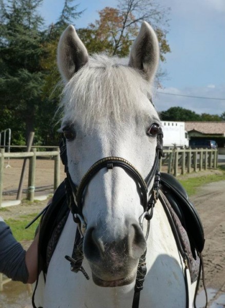 Photo de profil de layblanc