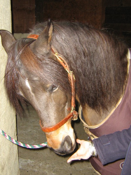 Photo de profil de indianabesson