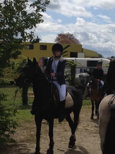 Photo de profil de equi_chevaux