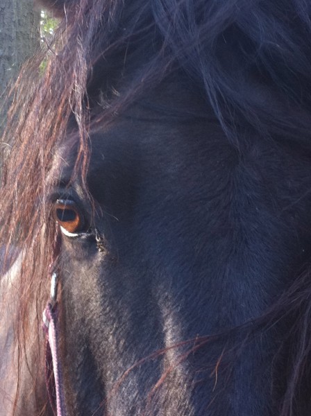 Photo de profil de ite78
