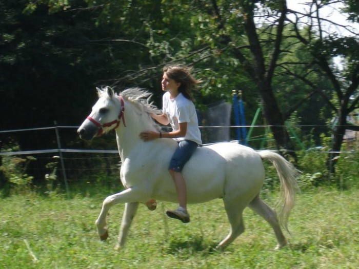 Photo de profil de serise70