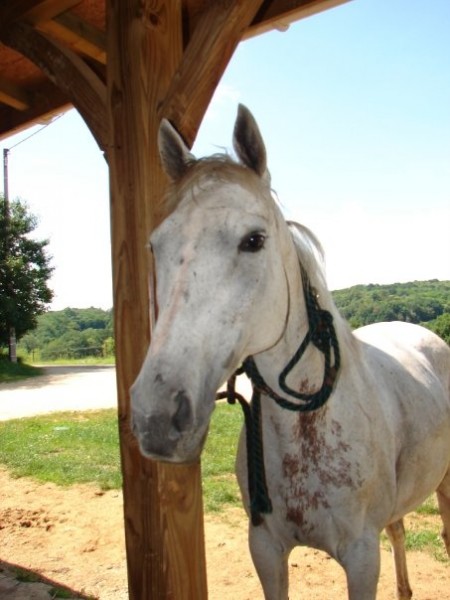 Photo de profil de roadzy