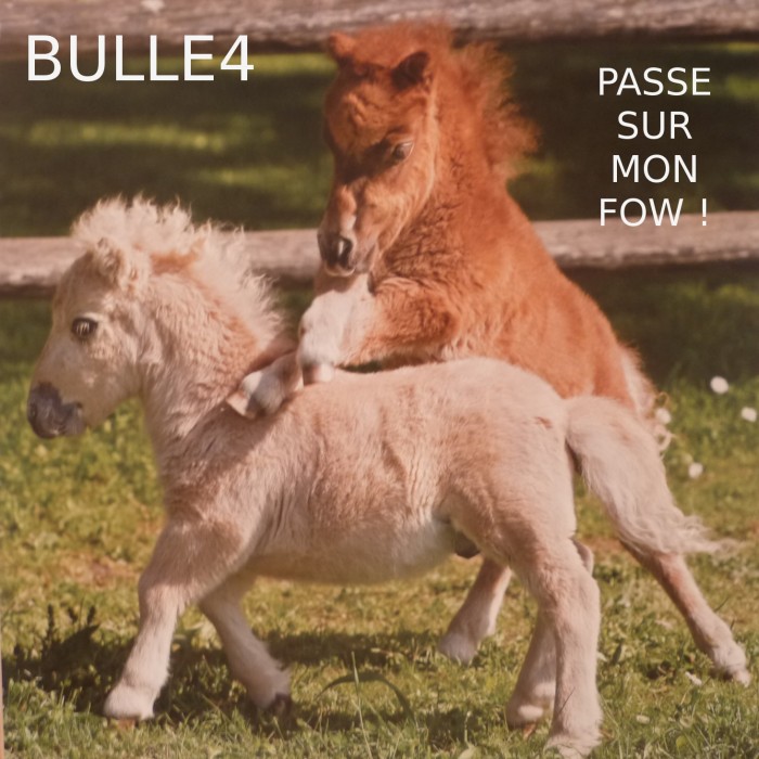 Photo de profil de bulle4