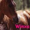 Photo de profil de winxa