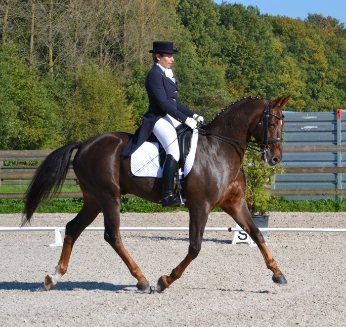 Photo de profil de audreyhens