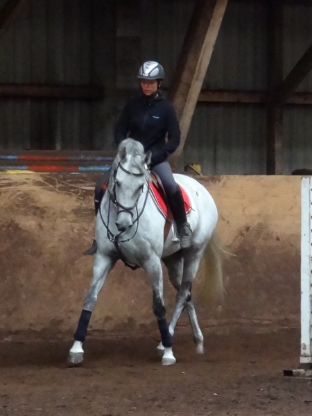 Photo de profil de ziggym