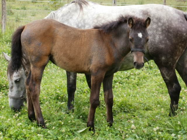 Photo de profil de annamaria4