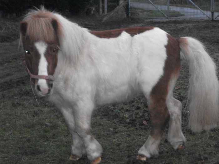 Photo de profil de tintin_1