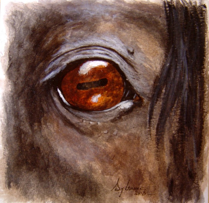 Photo de profil de sylvanieayarann