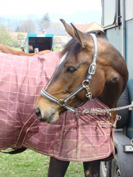 Photo de profil de audreyf