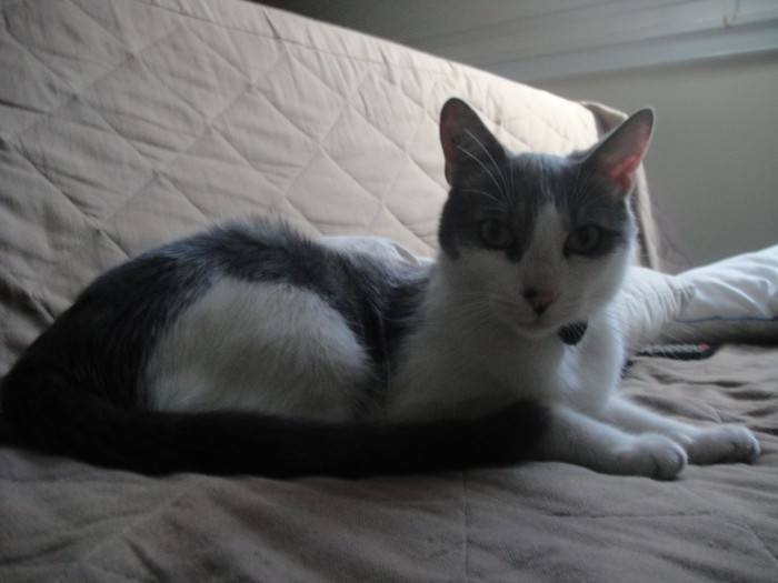 Photo de profil de pititange