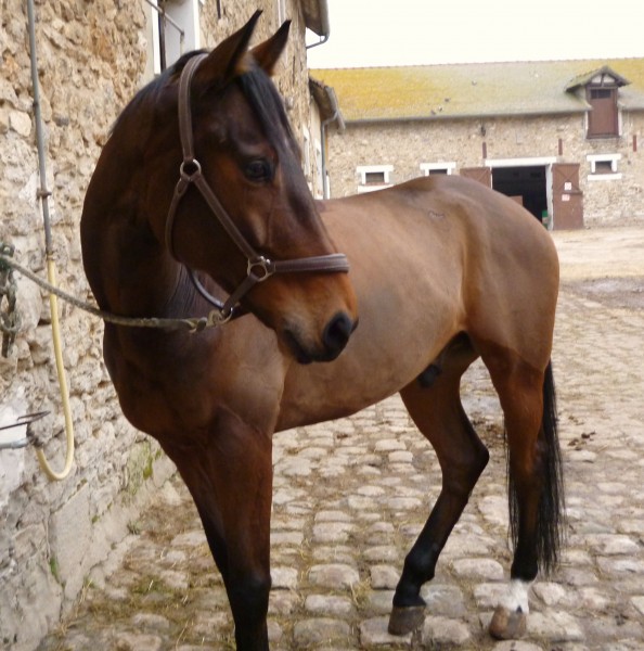 Photo de profil de amandine23