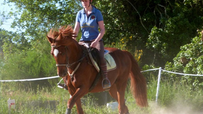 Photo de profil de aelise