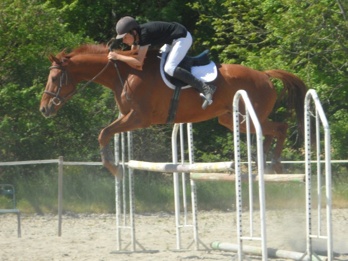 Photo de profil de dimitri08