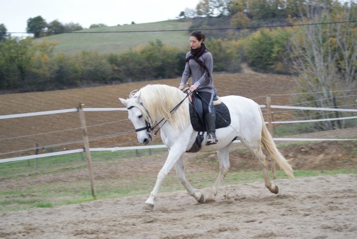 Photo de profil de sophie81300