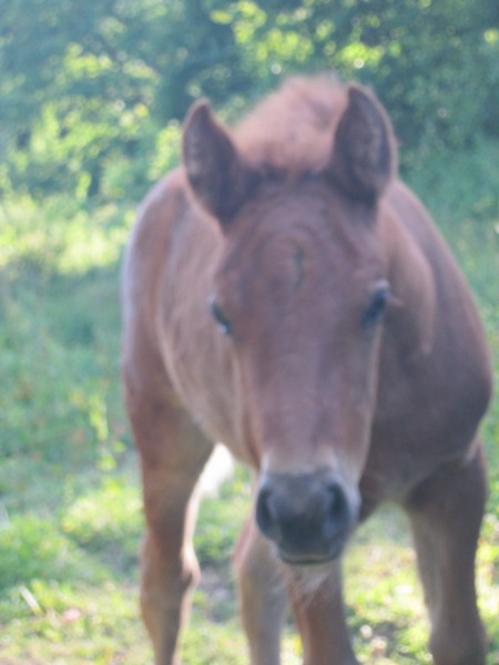 Photo de profil de seulande