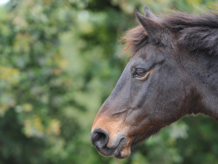 Photo de profil de mixteens