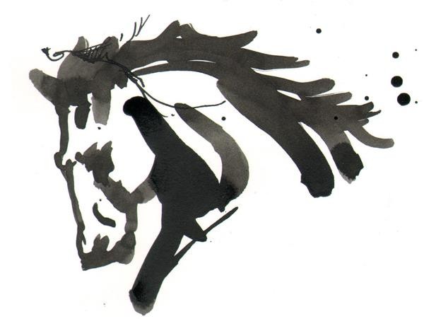 Photo de profil de equitationprive