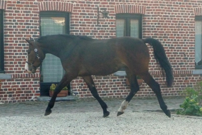 Photo de profil de ubaldine