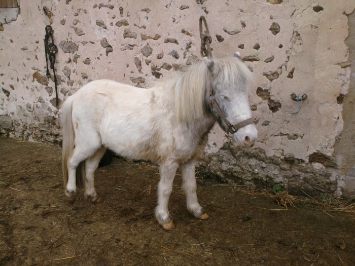 Photo de profil de jiwa