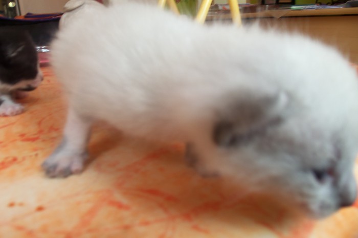 Photo de profil de celine60260