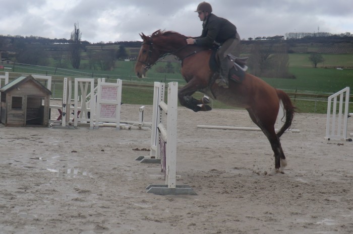 Photo de profil de piranasherkhan