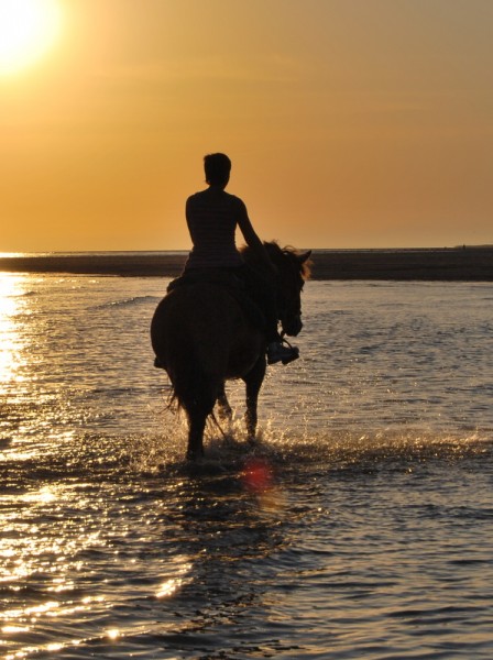 Photo de profil de verhue
