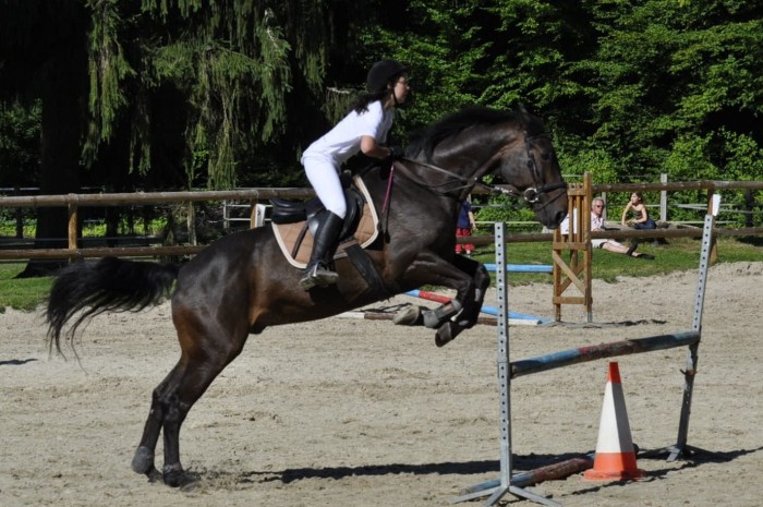 Photo de profil de lmaaeva