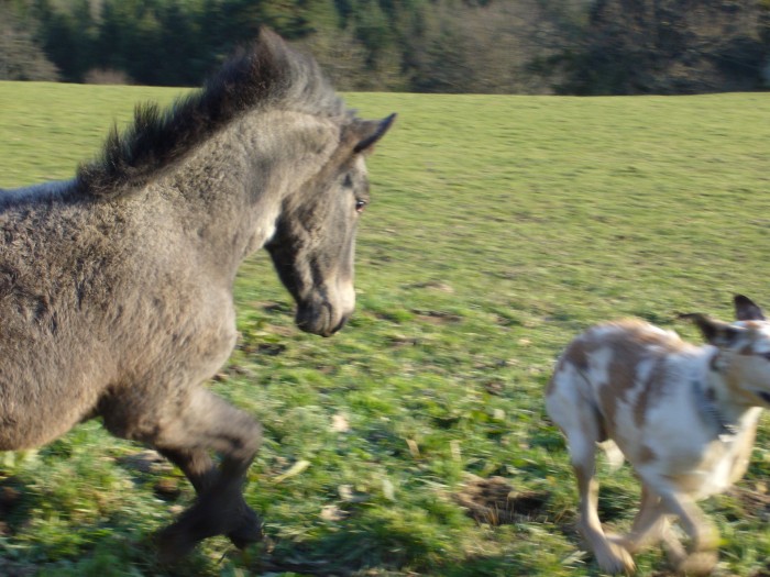 Photo de profil de penelope63