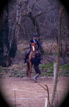 Photo de profil de jordantaylor