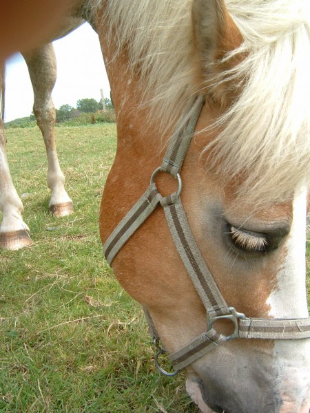 Photo de profil de heididouce