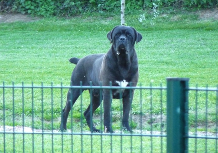 Photo de profil de camillelevacher