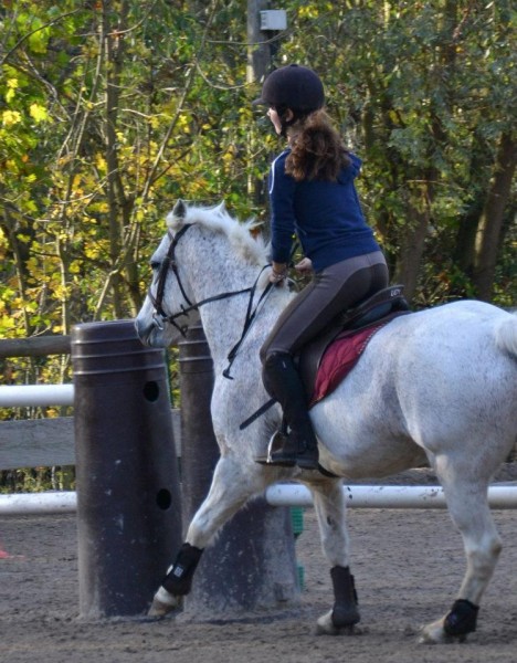 Photo de profil de chevalchacha