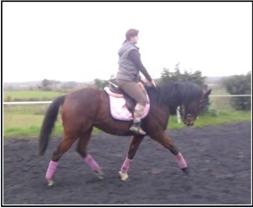 Photo de profil de daisygruel